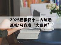 爱游戏体育入口2025世俱杯十二大球场巡礼:马竞成“大冤种”的简单介绍