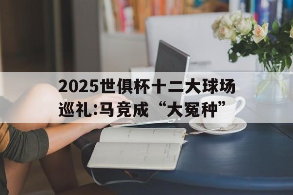 2025世俱杯十二大球场巡礼:马竞成“大冤种”的简单介绍